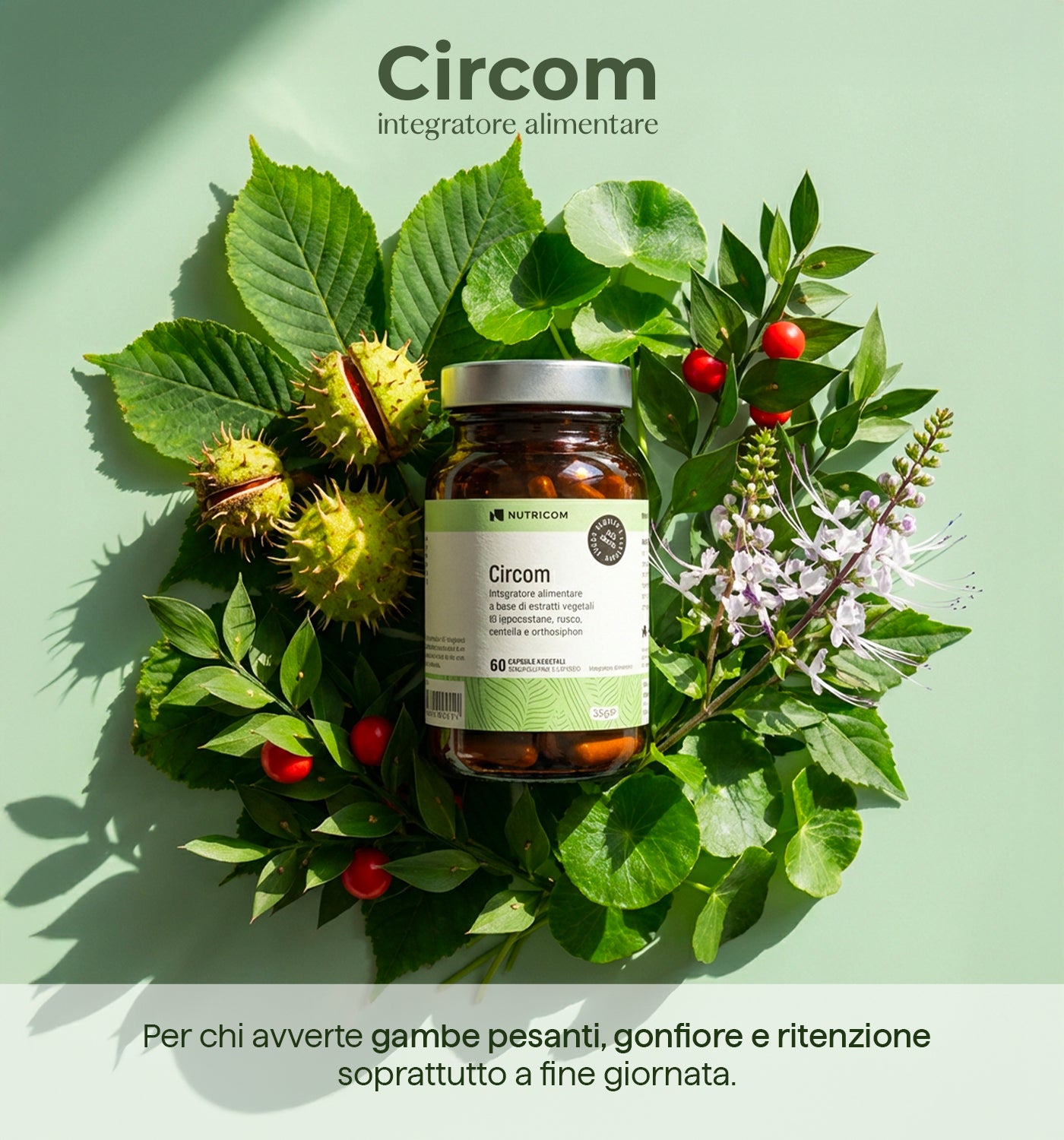 Circom
