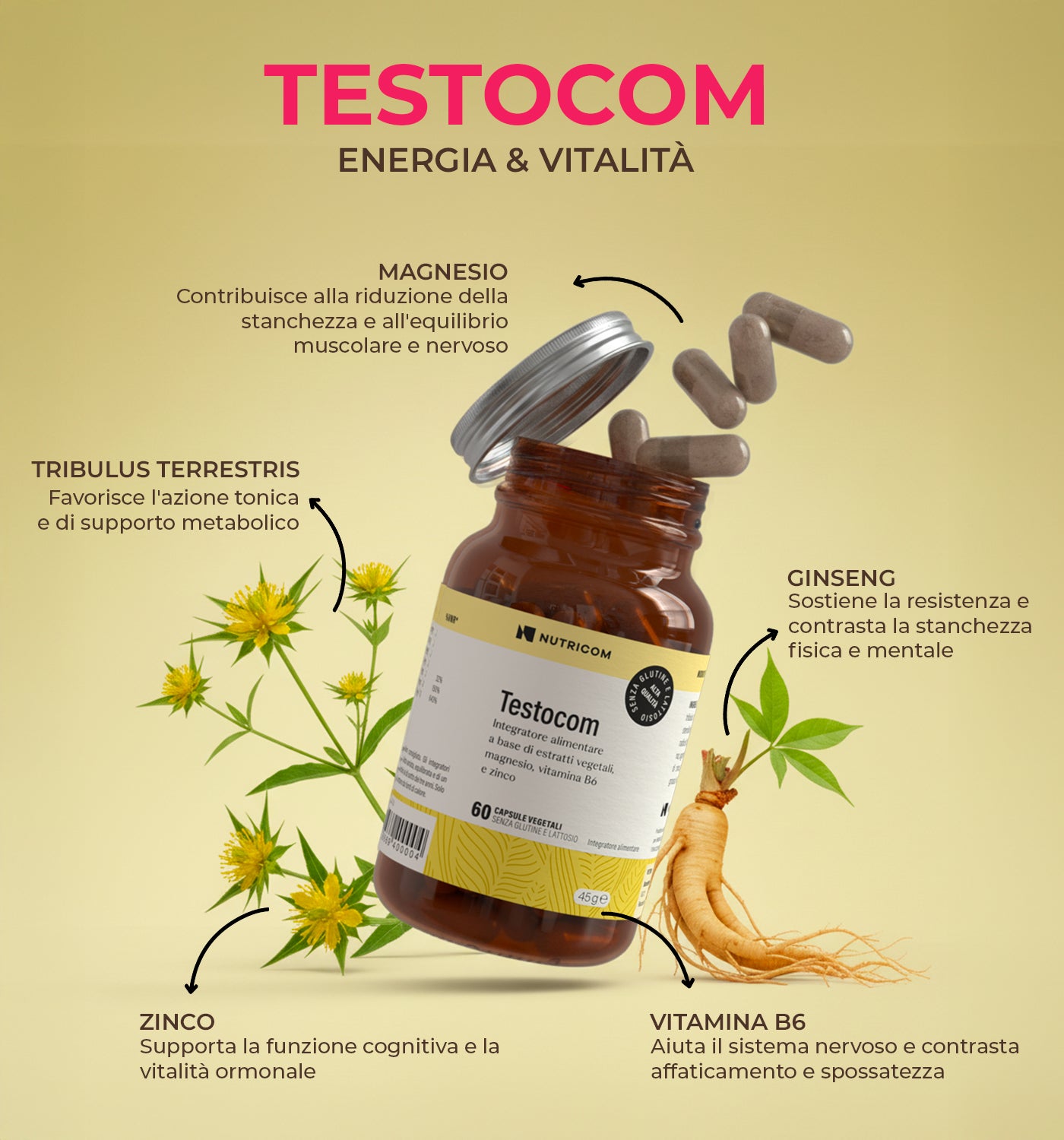 Testocom