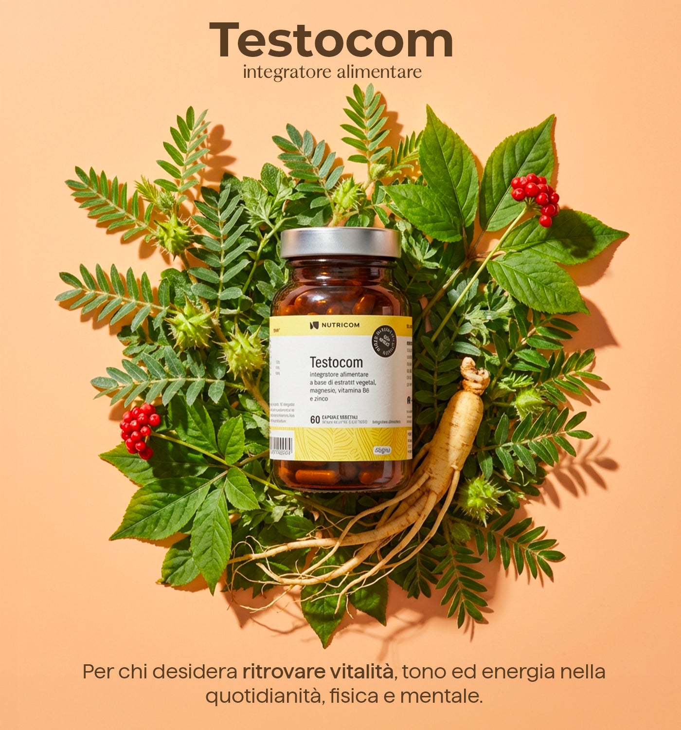 Testocom